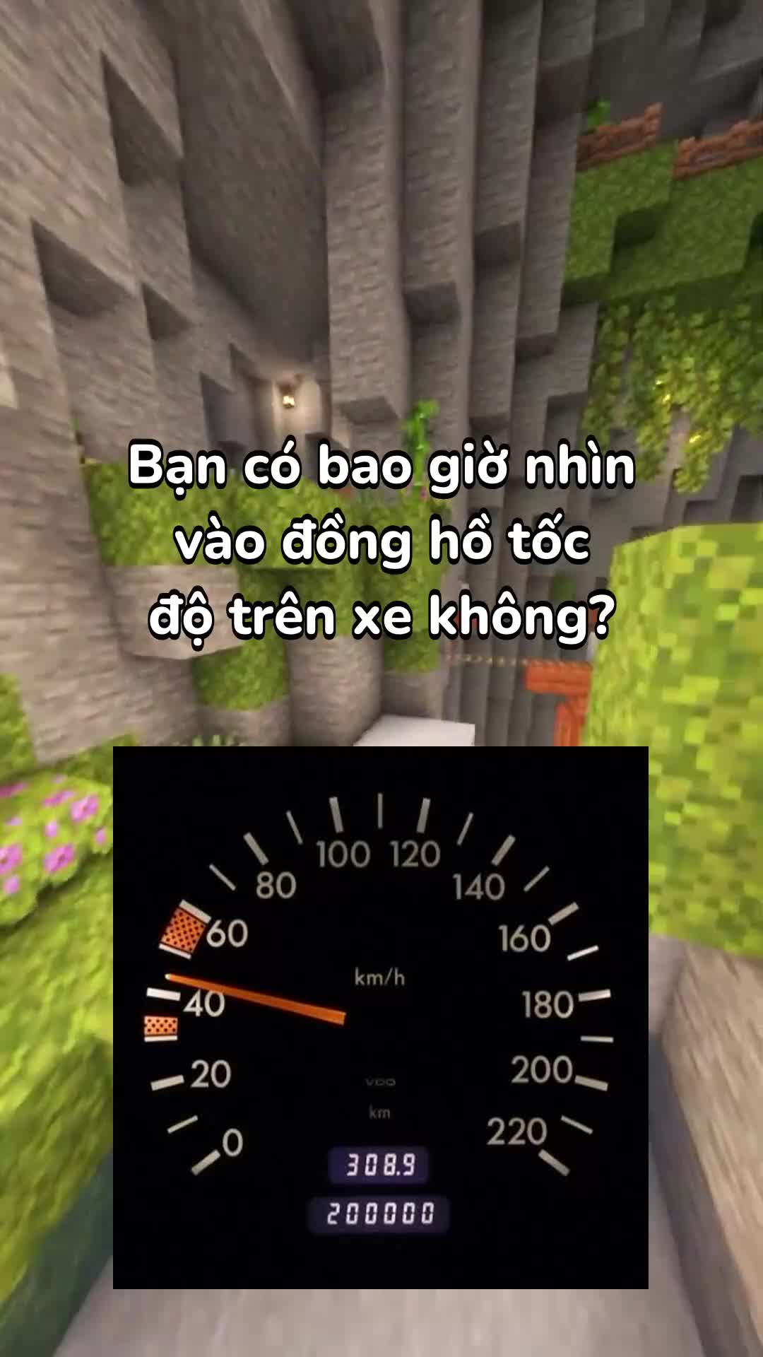 TikTok video 7572027689259896076