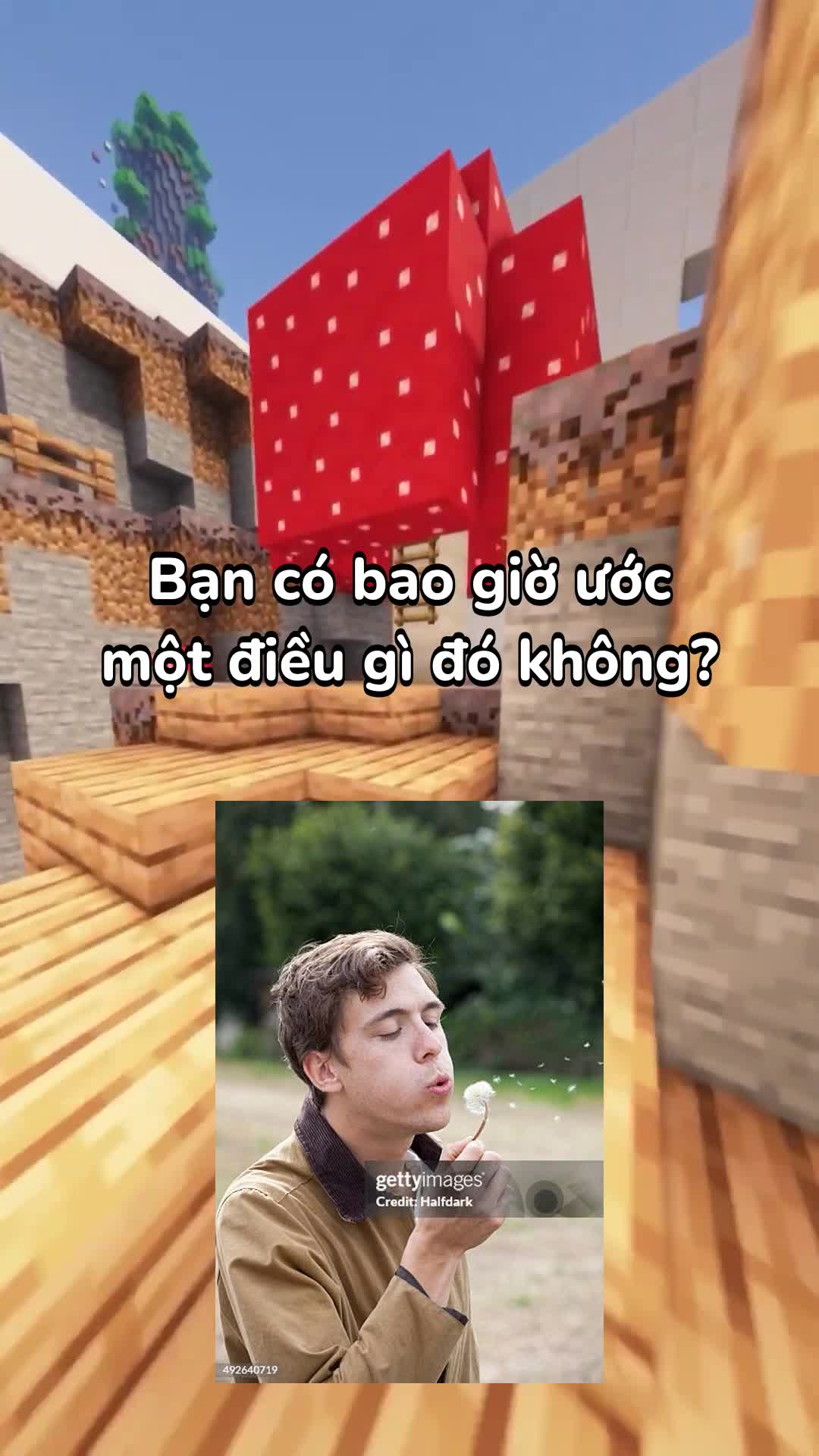 TikTok video 7579663905253887240